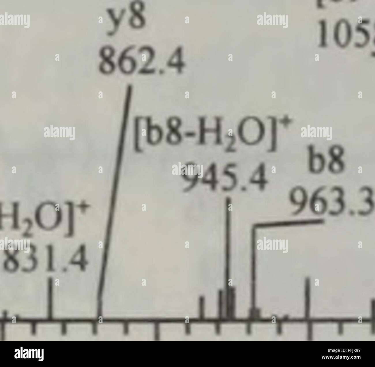 1200 Cc High Resolution Stock Photography And Images Alamy