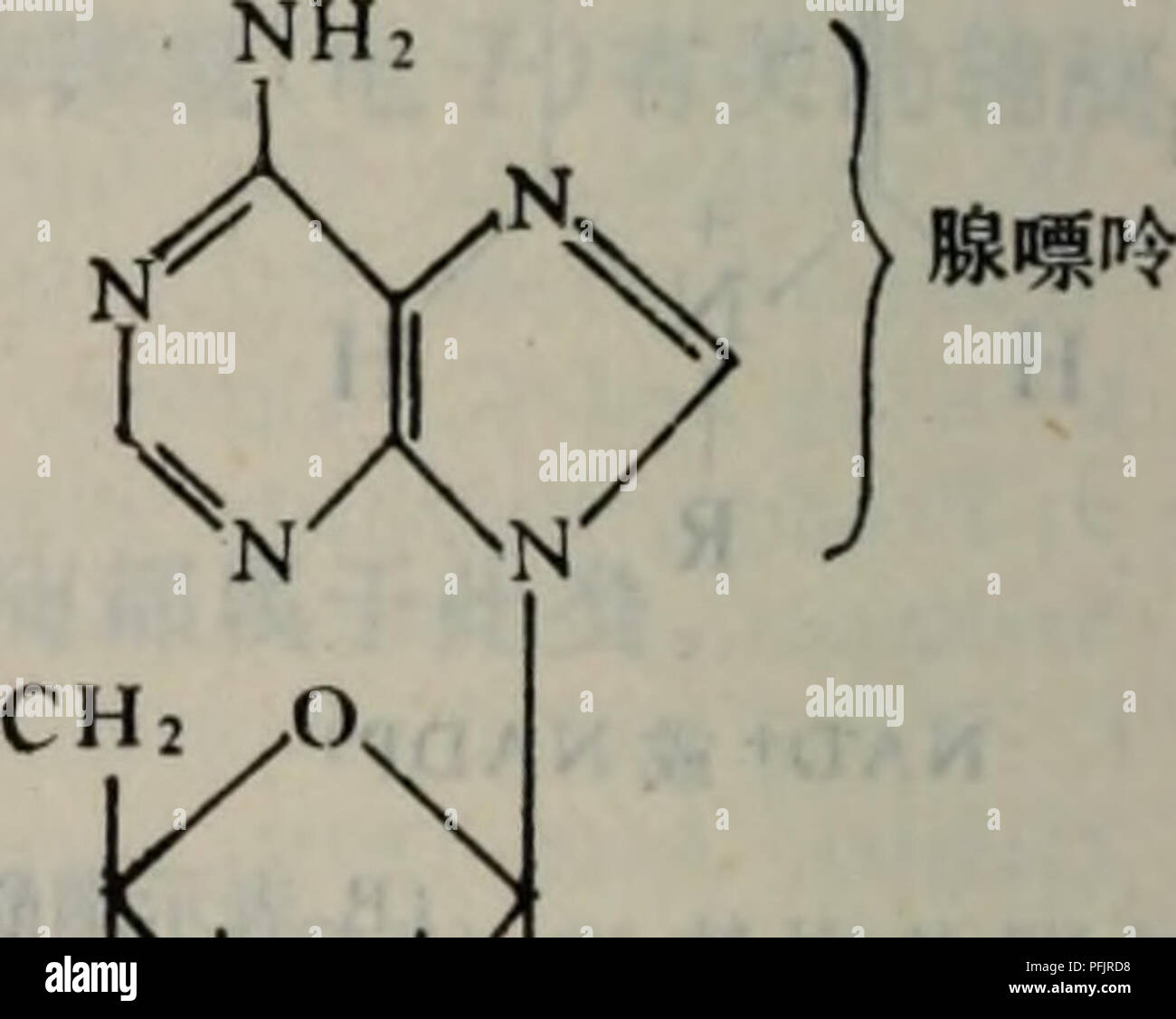 Dan Bai Zhi Fen Zi Ji Chu Botany E C E ºa ºae E E Fad Fmnafadaaea Ac Aº Ce E I Ac E E Ca E C A I A E A Ae A I Ae e A e A ºe A E Ec C e A A Ae A Afmncaea A Ae A A 445 Nmi Fadcaea A Ae A A 260i 375 450 Nma A A Aªc Ae E Ae ºcae A