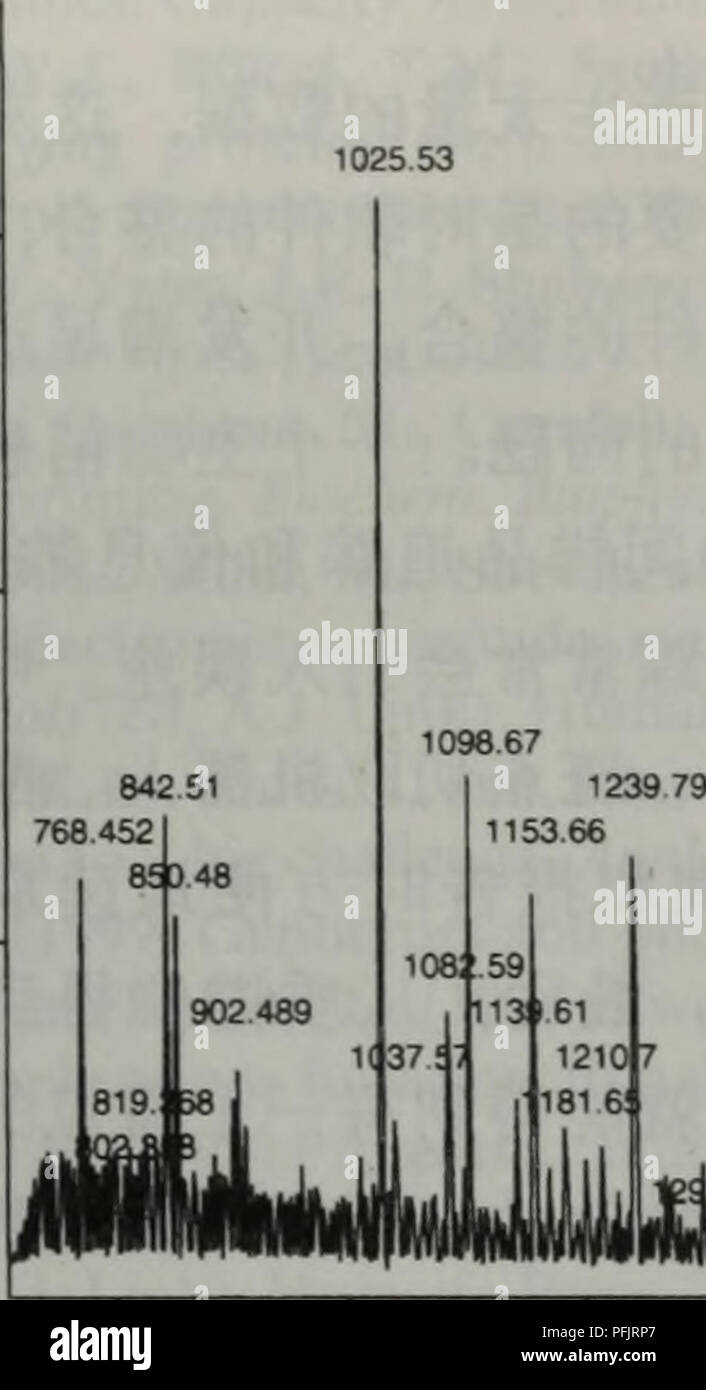 15769 High Resolution Stock Photography And Images Alamy