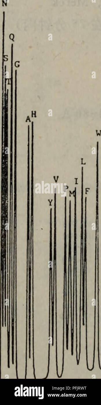 . dan bai zhi shun xu fen xi ji shu. botany. .6 mm), ä¾5: PTH-æ°¨åºé ¸åç¦»ï¼åçº§æ¢¯åº¦æ´è±)ã3Â«ã æ±ï¼Zorbax CNåææ±,5;im,è¿Dupont Permaphase ETH quardæ±ï¼50 X é¿åº¦25cmï¼å å¾4.6mmä¸éé¢å¶ã ç§»å¨ç¸ï¼A. 0.024mol/léé ¸é ç¼å²æ¶²ï¼pH 5.4 0.18 0.16 0.&quot; 0.12 .0.10 0.08 0.06 O.0A 0.02 -jâr I I I. WW -I JUn ,â¦I 10 15 å 23 30 10 15 å 20 25 30 å¾10-17 PTH-æ°åºé ¸çåç¦»(åçº§æ¢¯åº¦æ´è±ï¼. Please note that these images are extracted from scanned page images that may have been digitally enhanced for readability - coloration and appearance of these illustrations may not perfectly resemble the original work Stock Photo