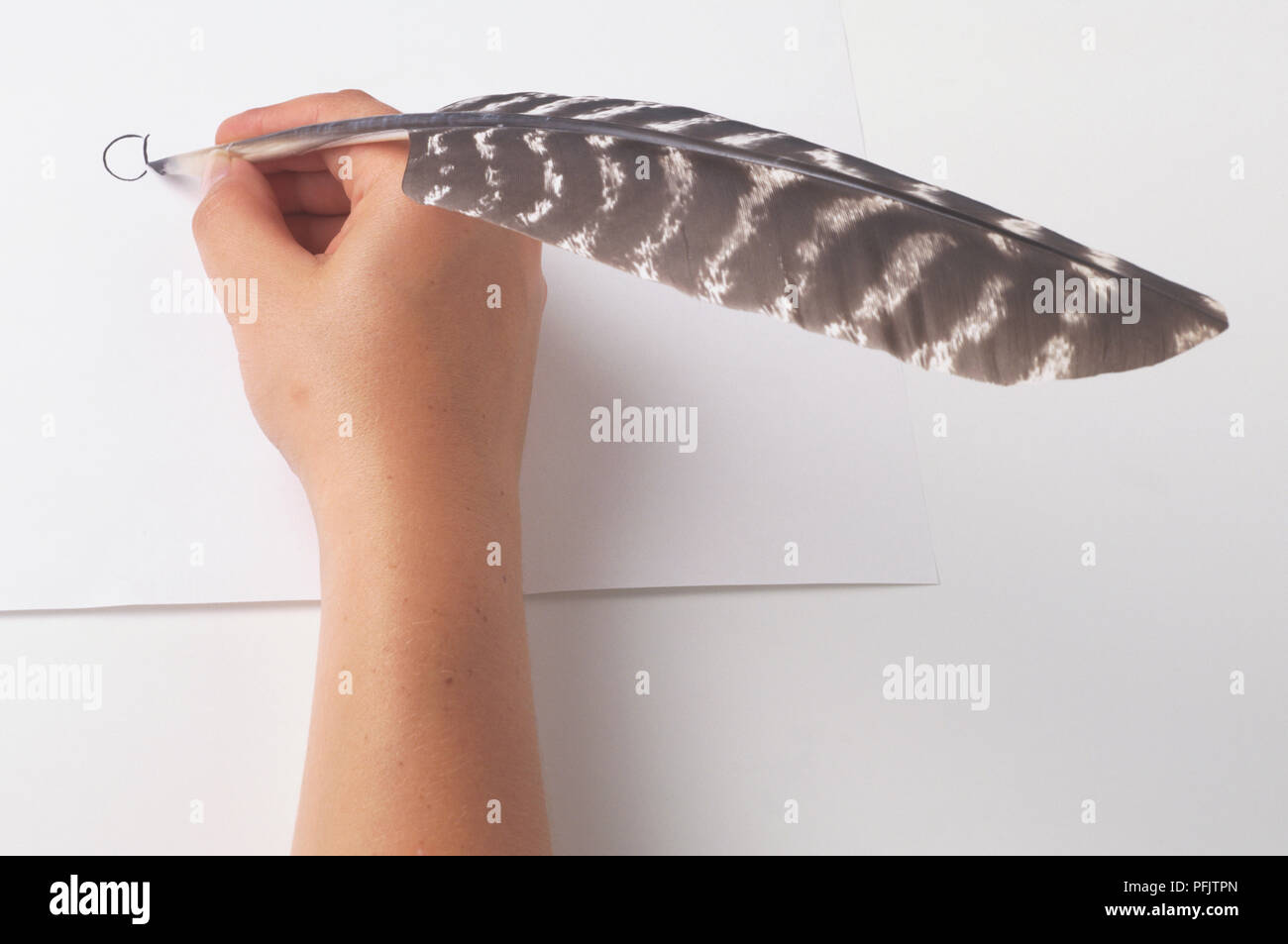 Quill Writing On Hand