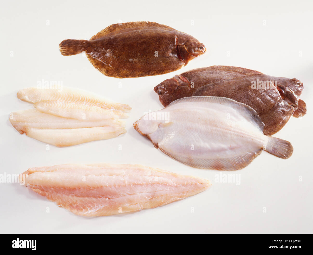 Lemon Sole (top) and Dover Sole (centre right), two Lemon Sole fillets