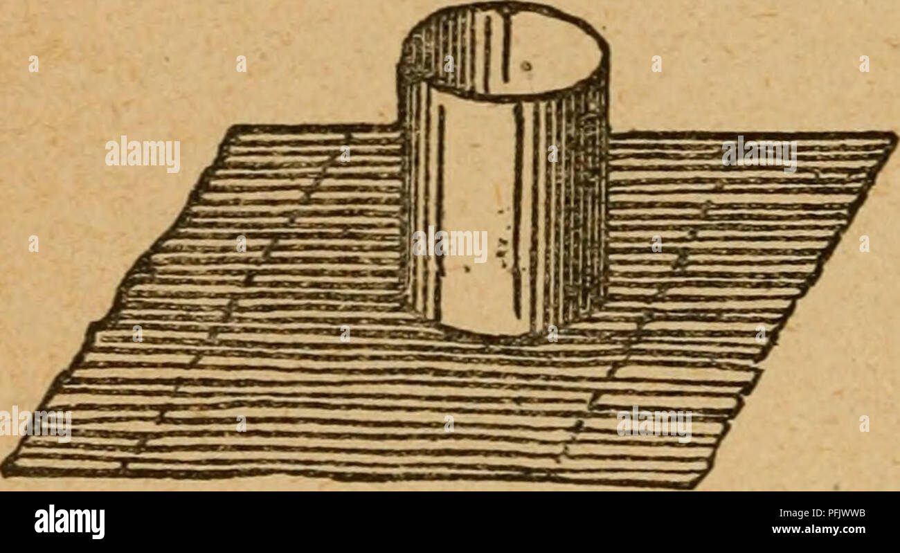 . The dairyman's manual; a practical treatise on the dairy. Dairying. 372 THE dairyman's MAN^UAL. served sweet for two or three days and then made into cheese ; or the curd may be kept as above mentioned and added to the new curd, in which case the rich quality of the cheese may be preserved. The milk may be curdled in a large jar or tin pail, or in several of them, and the curd may be carefully lifted with a common dipper or ladle, and placed at once in small cylindrical molds of tin (figure 83). Empty fruit cans, from which the top and bottom have been melted, and which have been cut down to Stock Photo