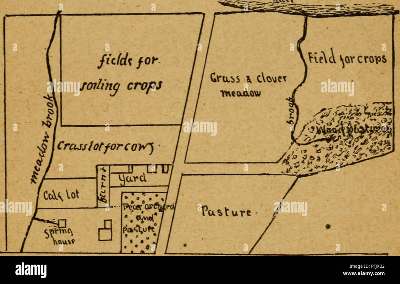 . The dairyman's manual; a practical treatise on the dairy. Dairying. DAIRY FARMS. 21 and soiling crops. A public road ran along the front of the farm and another divided it into two nearly equal parts. By fencing in an open wood lot and seeding it down with mixed grasses, a shaded pasture, supplied with a permanent spring, was made for the exercise of the cows. A small pasture field was made by seeding with orchard grass and clover near the barnyard, and a gate on the road gave easy access to it. Another lot seeded to mixed grasses was made at the back of the barn, and a gate opened to it fro Stock Photo