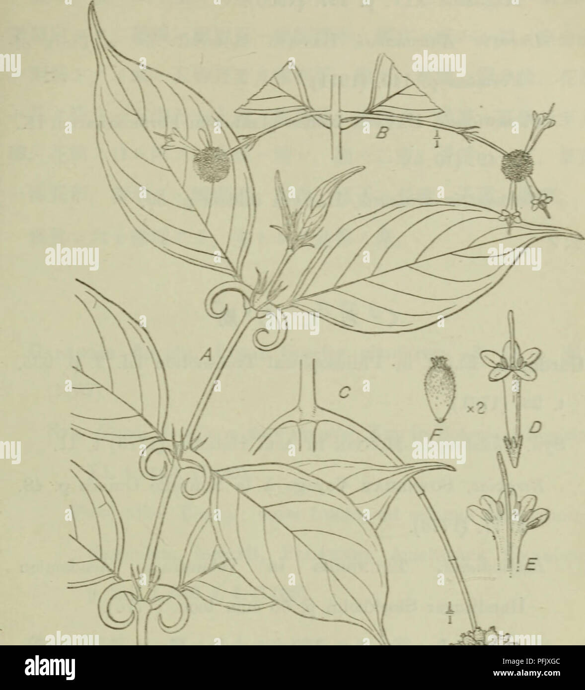 Xit High Resolution Stock Photography And Images Alamy