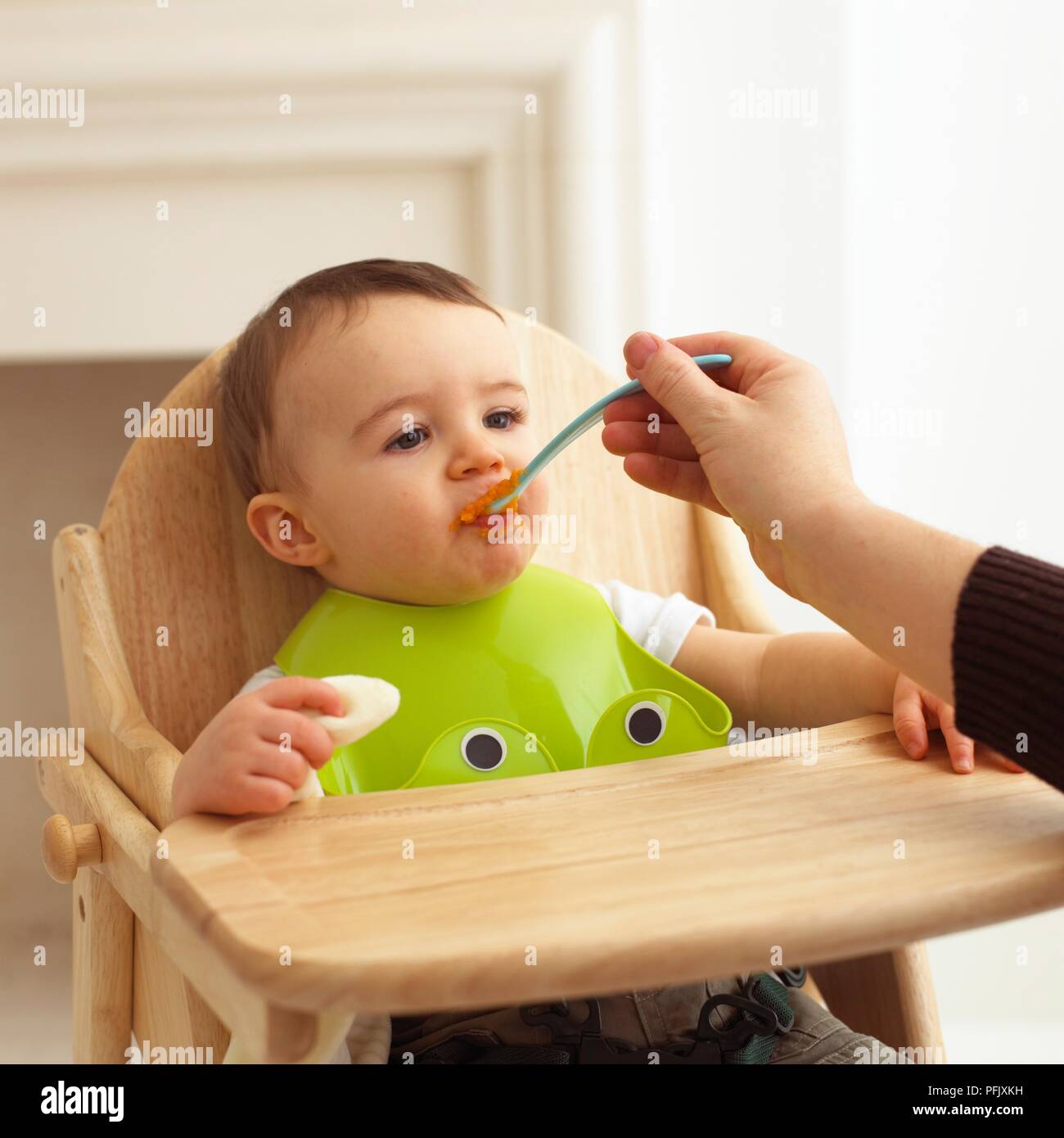 baby high chair bib