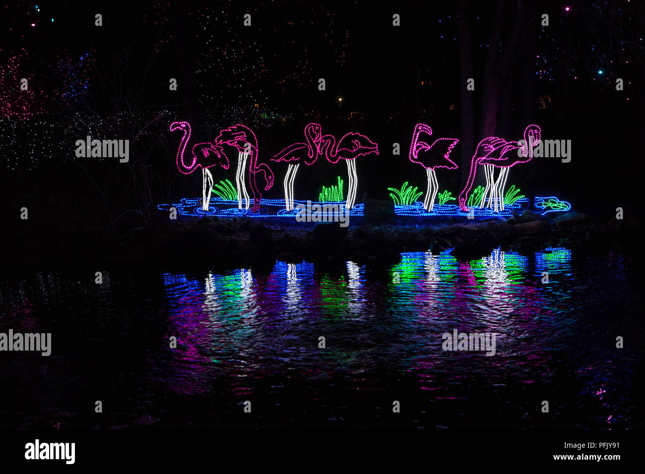 Zoo Lights, Denver Zoo Stock Photo Alamy