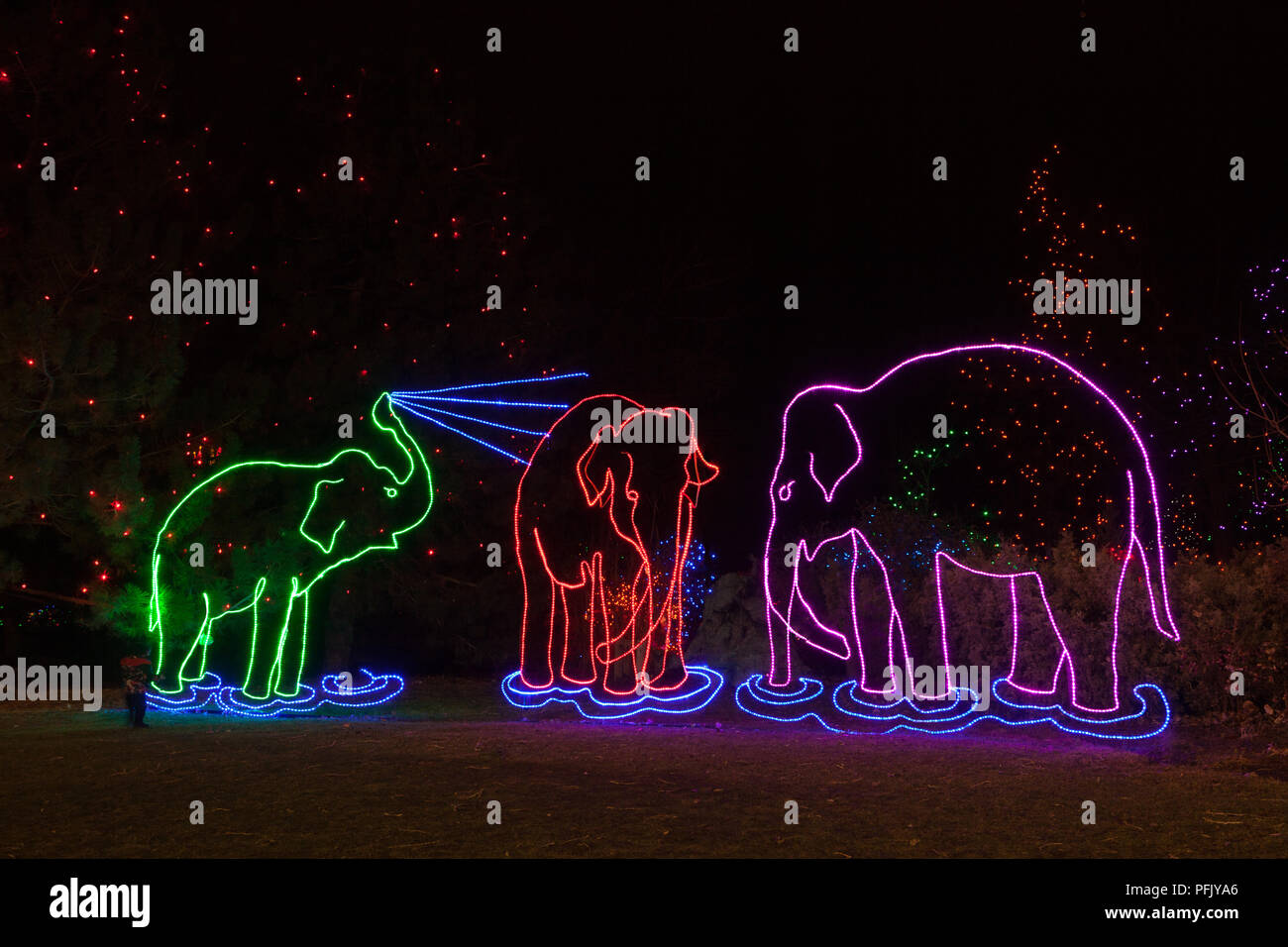 Denver Zoo Christmas Lights 2025 Schedule Candy Corliss