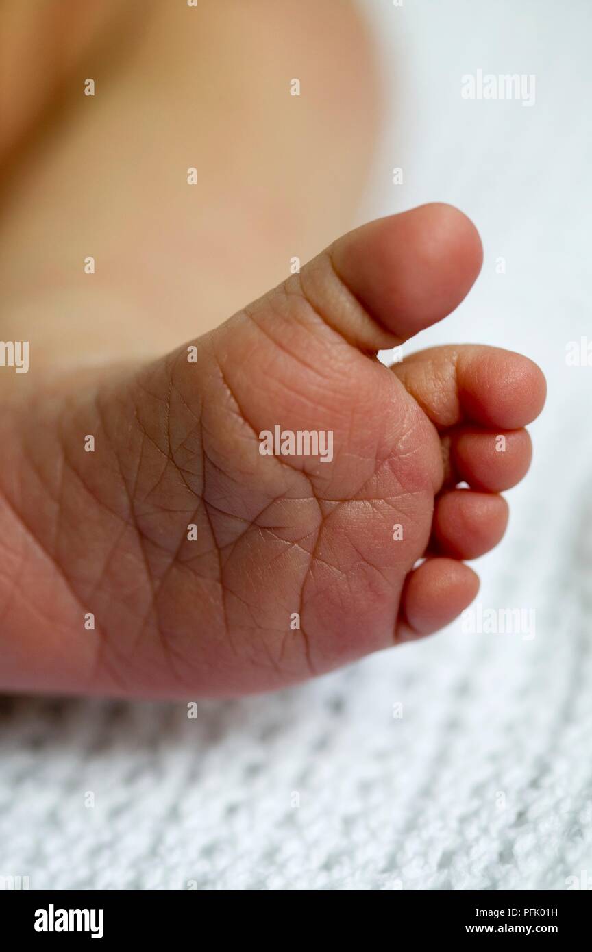 Newborn baby's foot, closeup Stock Photo Alamy