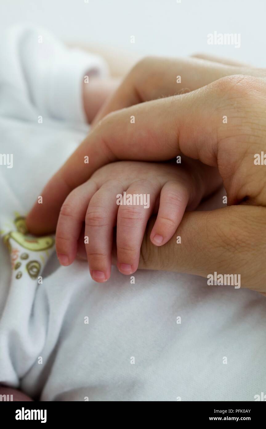 Baby boy's hand in man's hand, closeup Stock Photo Alamy