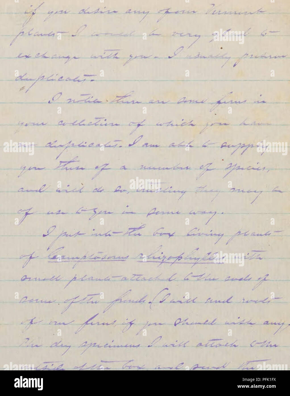 . Cyrus Guernsey Pringle letters to George Edward Davenport, 1873-1900 (inclusive). Botanists; Pringle, Cyrus G. (Cyrus Guernsey), 1838-1911; Davenport, Geo. E. (George Edward), 1833-1907. ,^4J«-**-«.-«-^ y*'**-!^- ^1 - ' / -^.-,4'j^j!t.^ -jC4^^acU^^i&gt;-,^'. Please note that these images are extracted from scanned page images that may have been digitally enhanced for readability - coloration and appearance of these illustrations may not perfectly resemble the original work.. Pringle, Cyrus G. (Cyrus Guernsey),1838-1911,correspondent; Davenport, Geo. E. (George Edward),1833-1907,addressee. Stock Photo