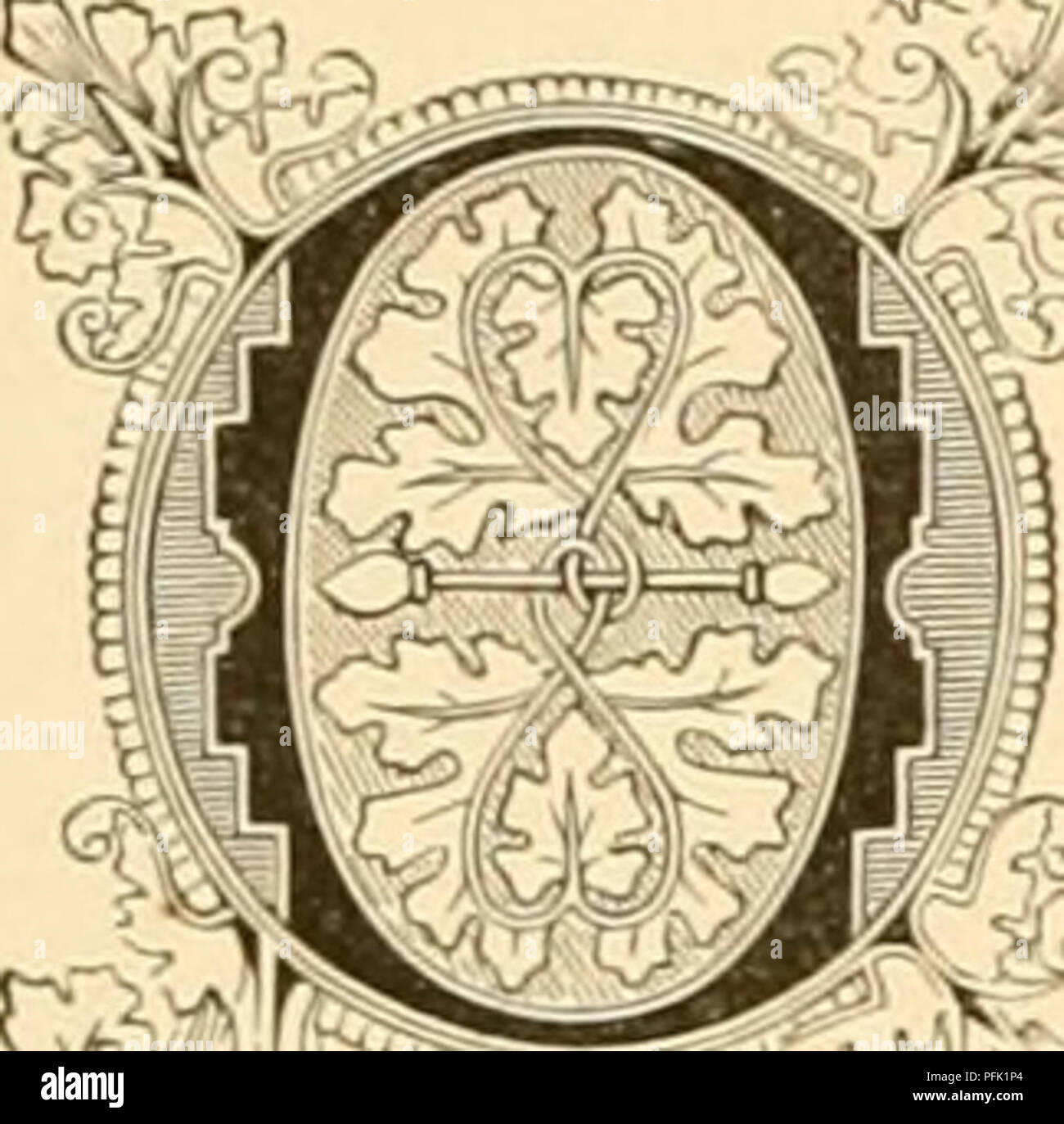 Cyclopedia Of Practical Floriculture. Floriculture; Flower Language.  2Lstâ£R I'ovjilllbosus. Natural Order: Compositit Â Aster Family. ^ Ur  Native Aster Grows About Two Teet High, And Is Found Requently In Dry, Open