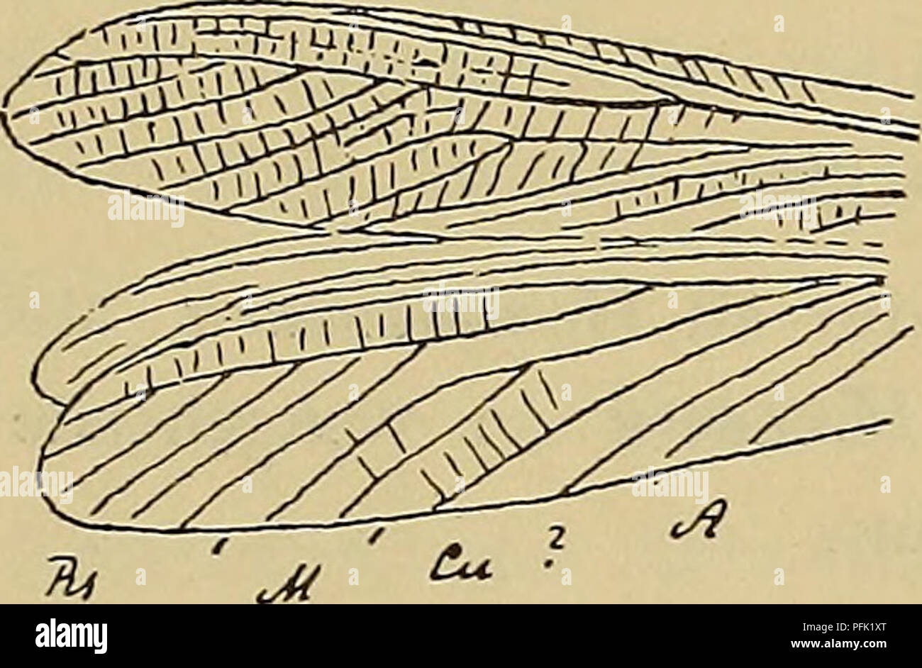 This study from the Austrian Academy of Sciences focuses on the ...
