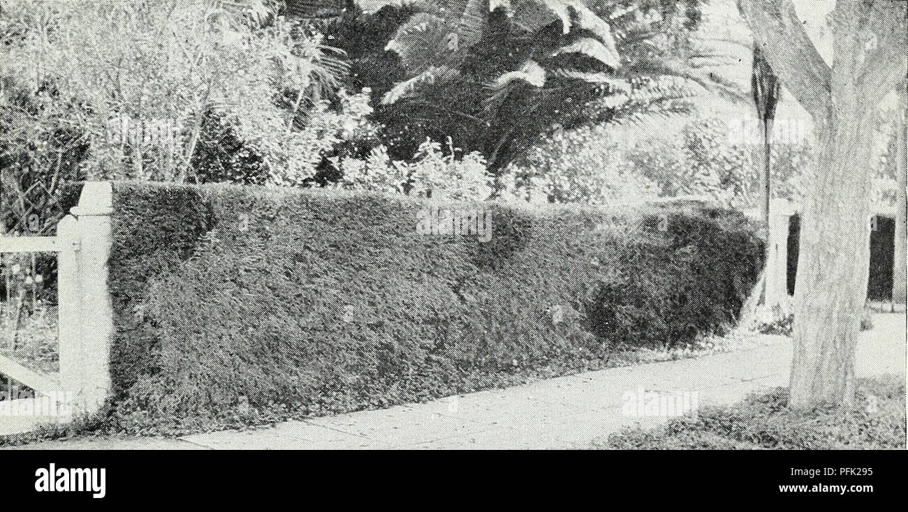 Page 416 Vt High Resolution Stock Photography And Images Alamy Page 416 Vt High Resolution Stock Photography And Images Alamy