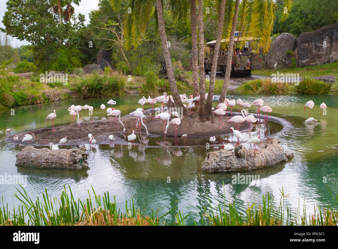 Kilimanjaro Safari ride in Disneys Animal Kingdom Theme Park, Walt Disney World, Orlando, Florida. Stock Photo