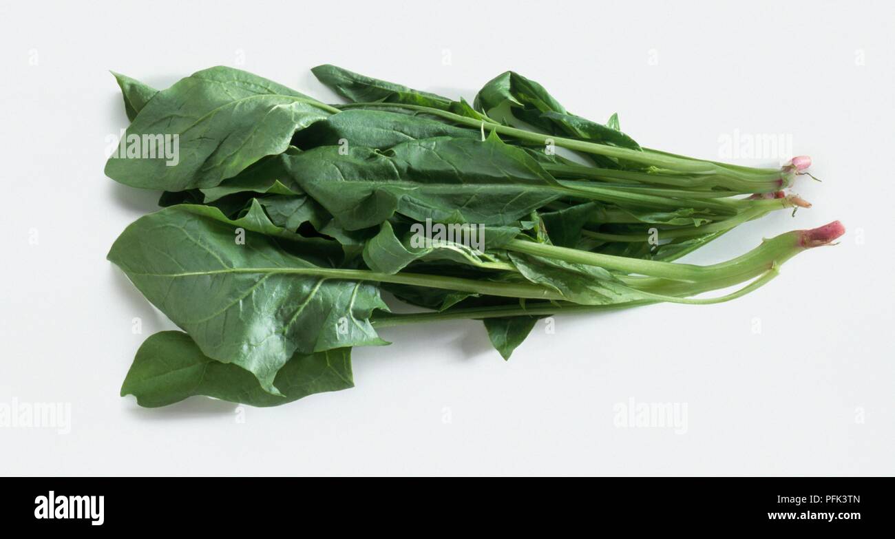Asian spinach Stock Photo