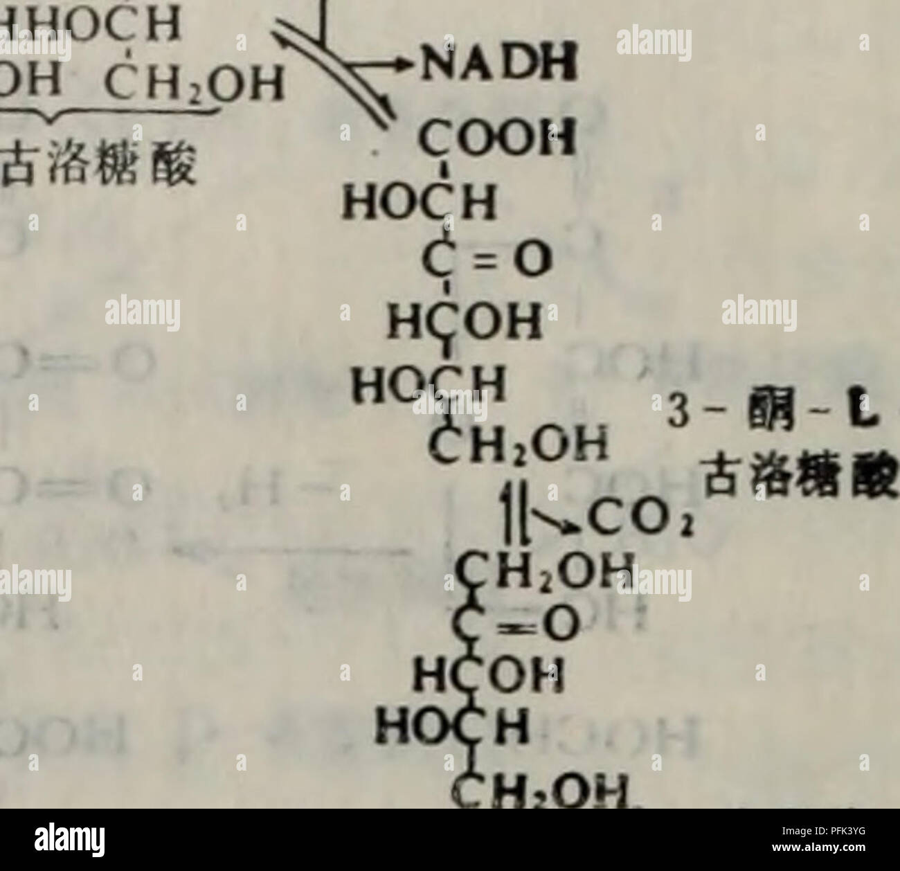 Dai Xie Tang Dai Xie Ji Qi Tiao Kong Yu He Suan Dai Xie Botany Ao Ch2oh Cooh Hcos Nadp Hcohho H I V Xz Hcoh Hcoh Nad Udp E C Ke 2nada Utp Hcoh Iooh D E C Se