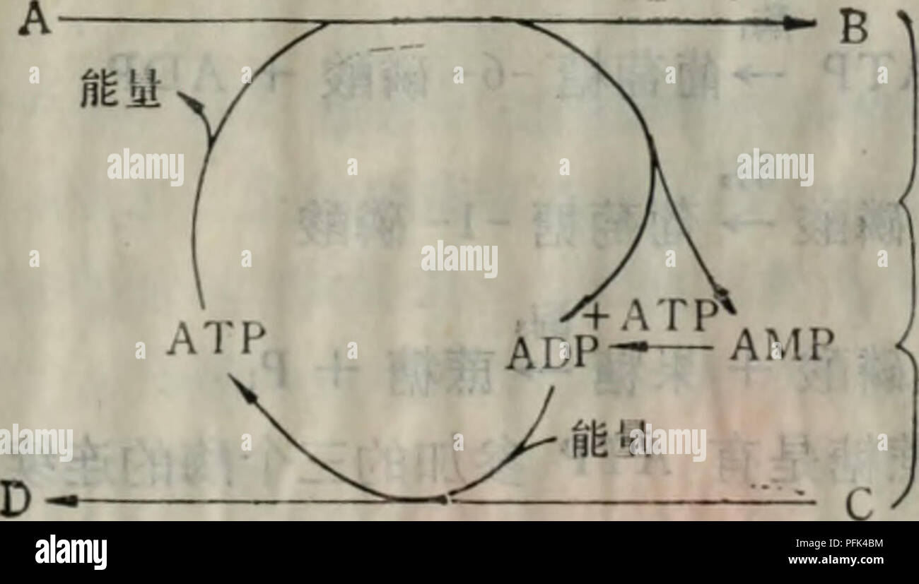 C8 Alamy Com Comp Pfk4bm Dai Xie Tang Dai Xie J