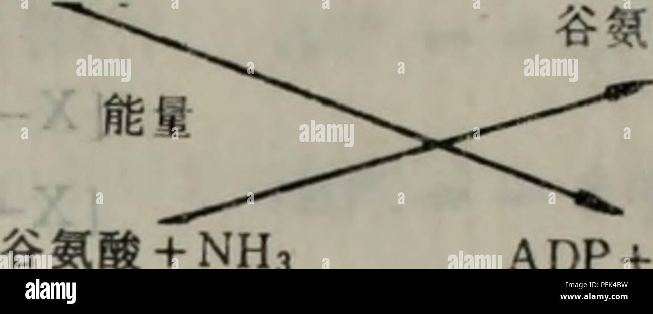 C8 Alamy Com Comp Pfk4bw Dai Xie Tang Dai Xie J