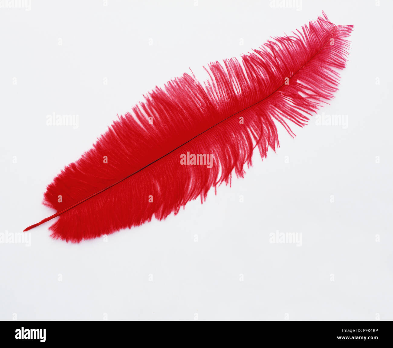 Red feather Stock Photo