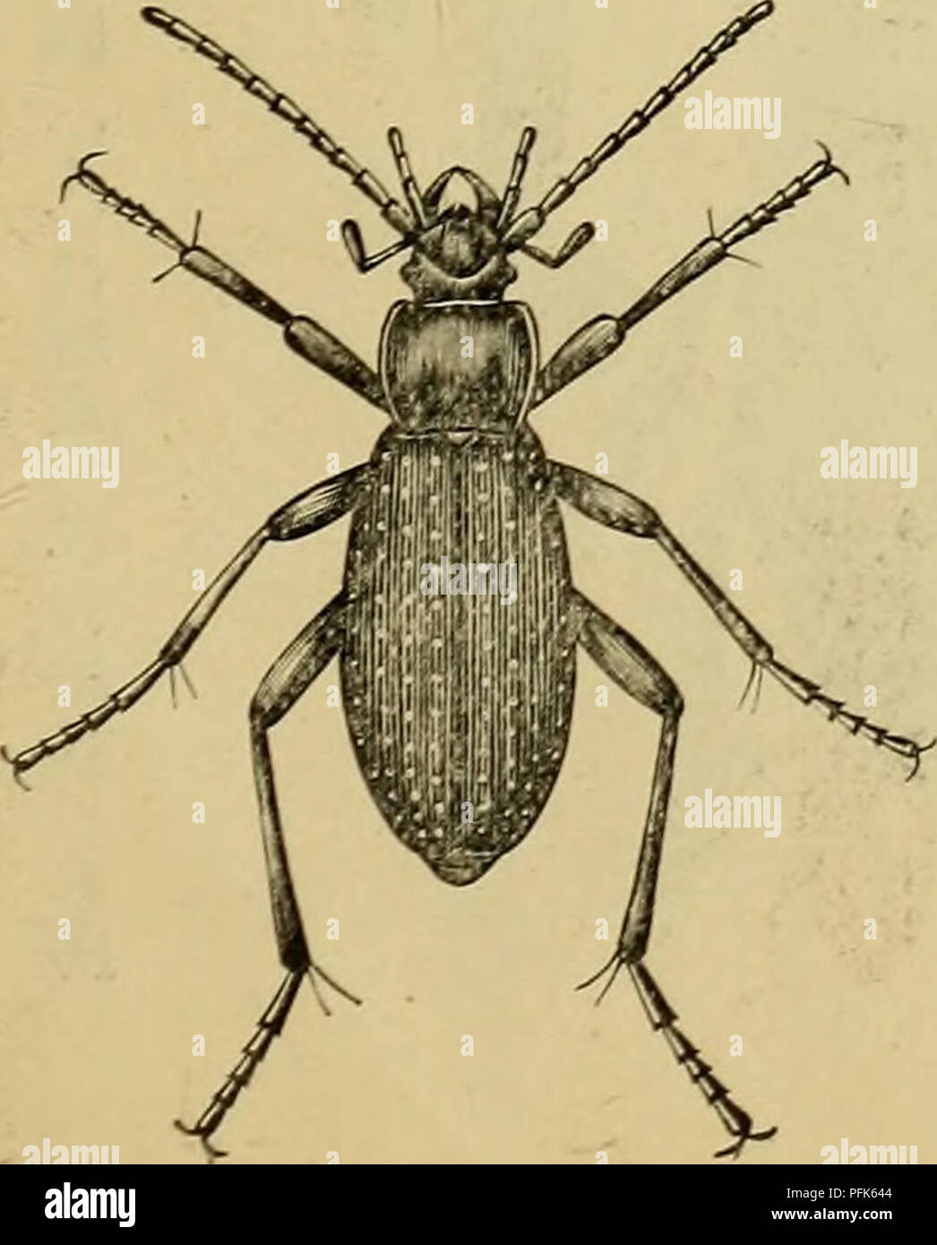 A Aºa A A A A A A A A Aµaa High Resolution Stock Photography And Images Alamy