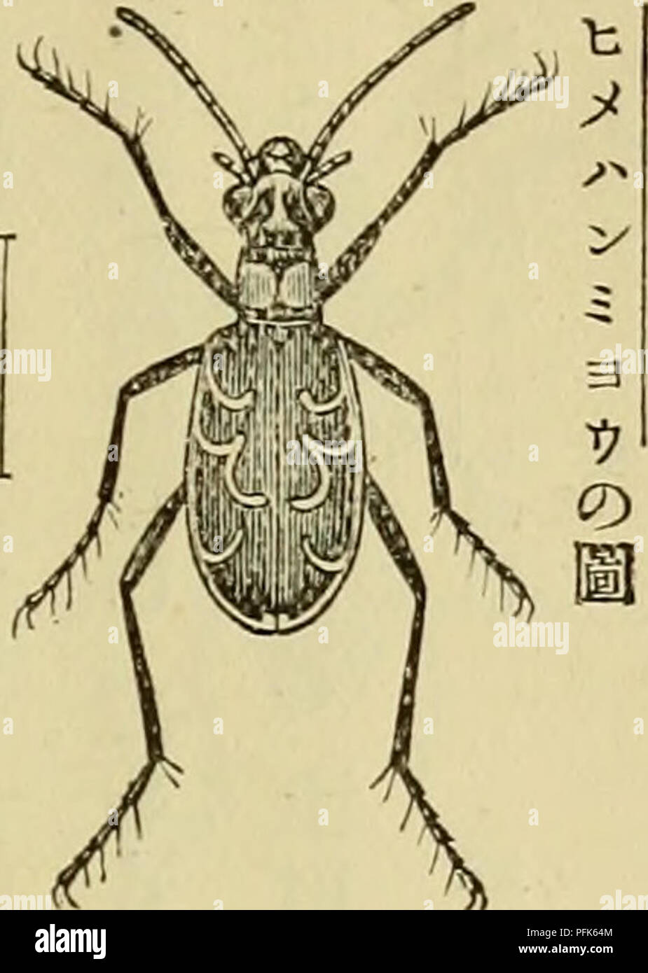 ジバンシー yamaka