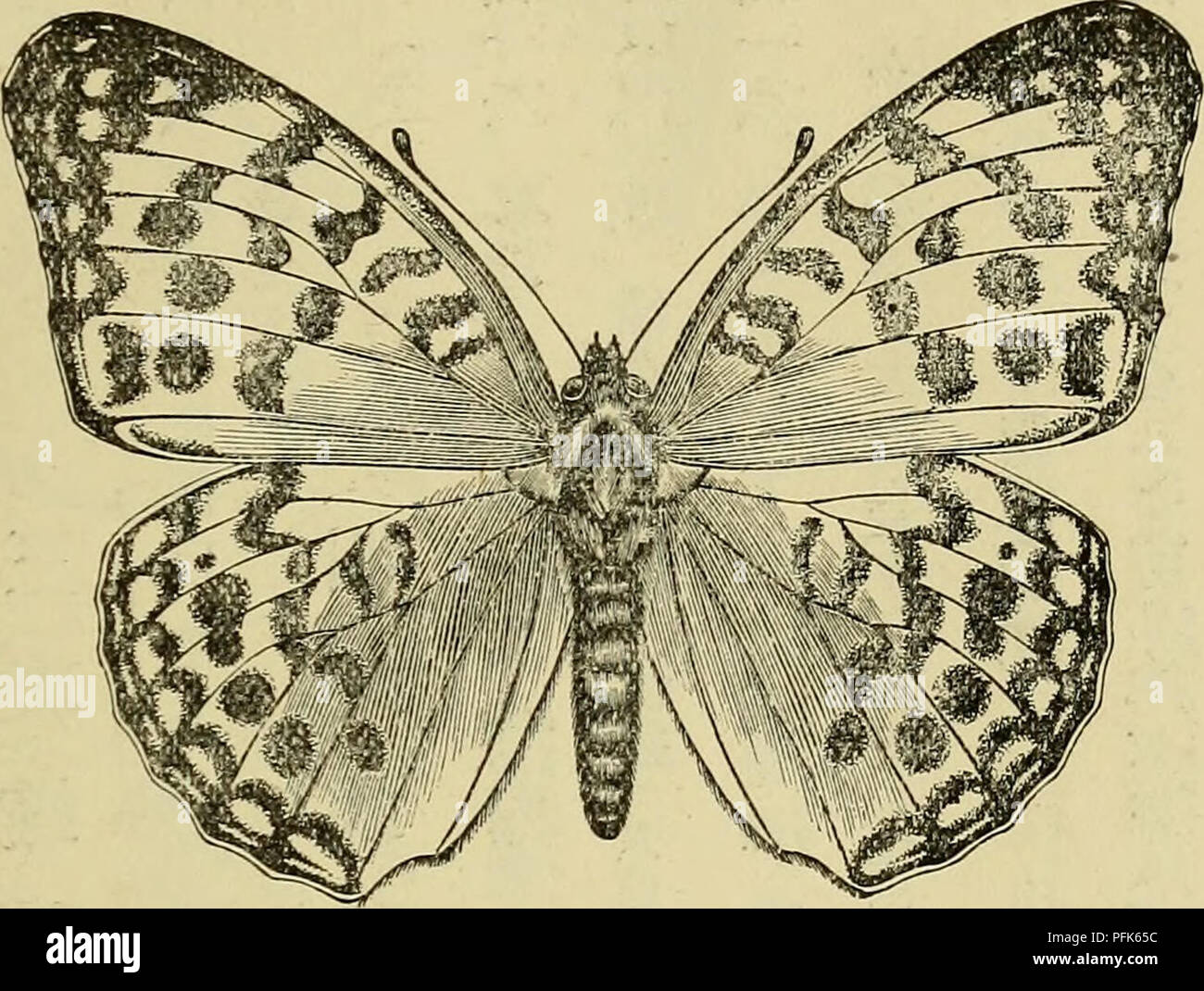 Ar A1 High Resolution Stock Photography And Images Alamy