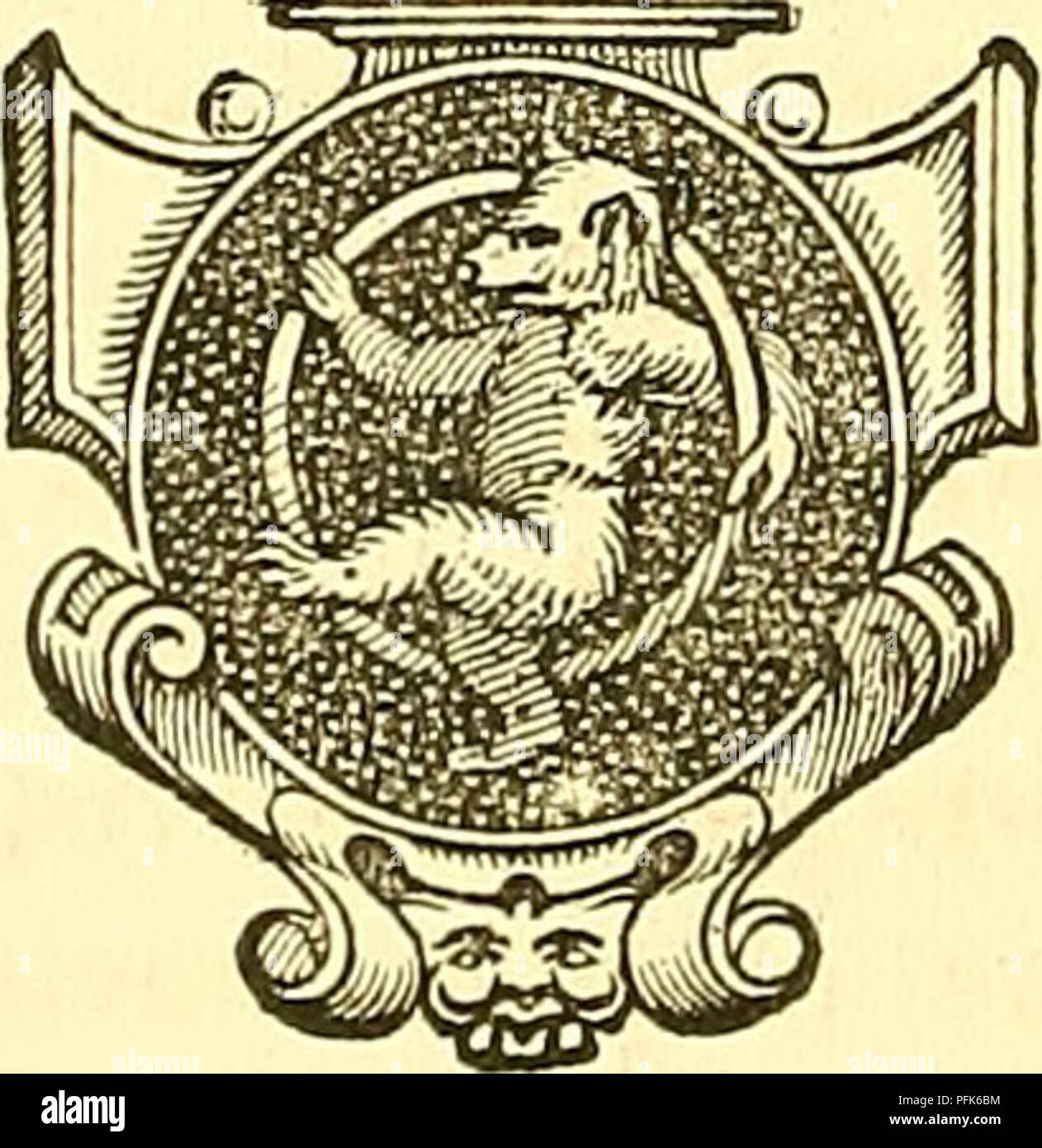 . Dadd's theory and practice of veterinary medicine and surgery. Veterinary medicine. 528 DADD'S VETERINARY MEDICINE AND SURGERY. is lost; the secretion of milk diminished; pulse quick and strong; and a certain amount of fever sets in. The patient can not lie down, and still is not safe on its legs. The writer never saw the affection but on recently-calved cows; never after the ninth day, and almost always from the fourth to the seventh. This disease affects generally the good mother, and is of a most be- nignant nature. A friction of turpentine and alcohol is sufficient to restore to health i Stock Photo