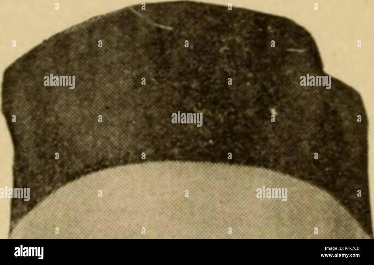 The image is from a guide on beekeeping, focusing on the Dadant system, a popular method of hive management. It provides an overview of the system's benefits and how it enhances honey production. Stock Photo