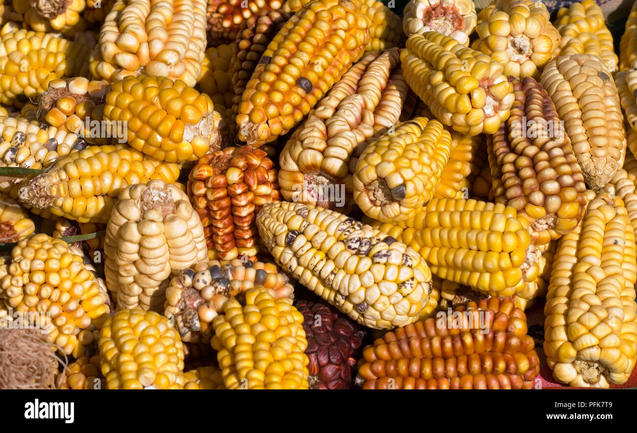 Peru, Cusco, Chinchero, maize for sale at outdoor market Stock Photo ...
