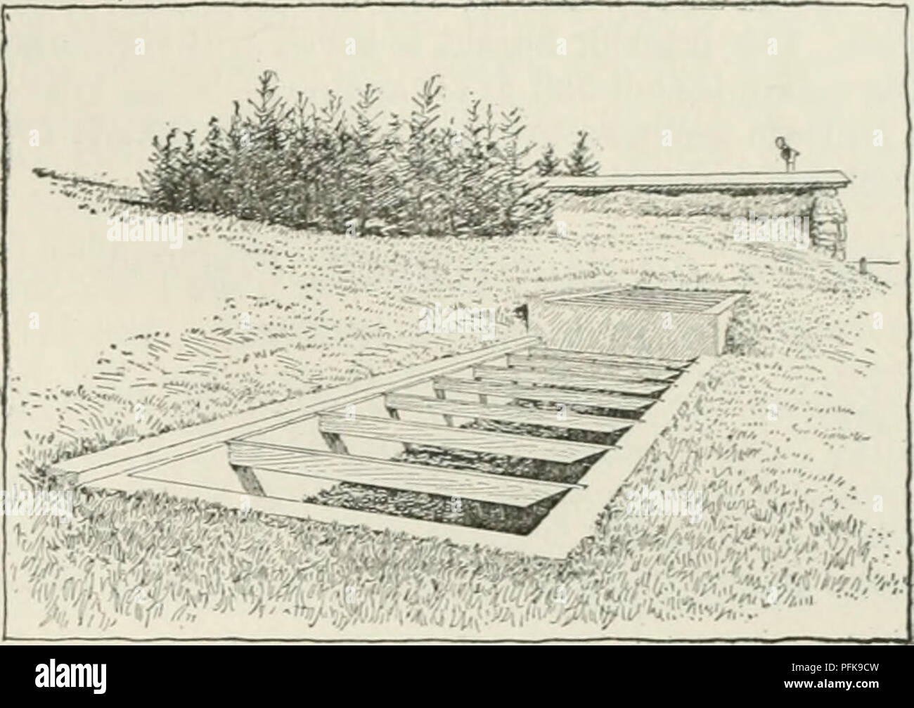 Cyclopedia Of Farm Crops A Popular Survey Of Crops And