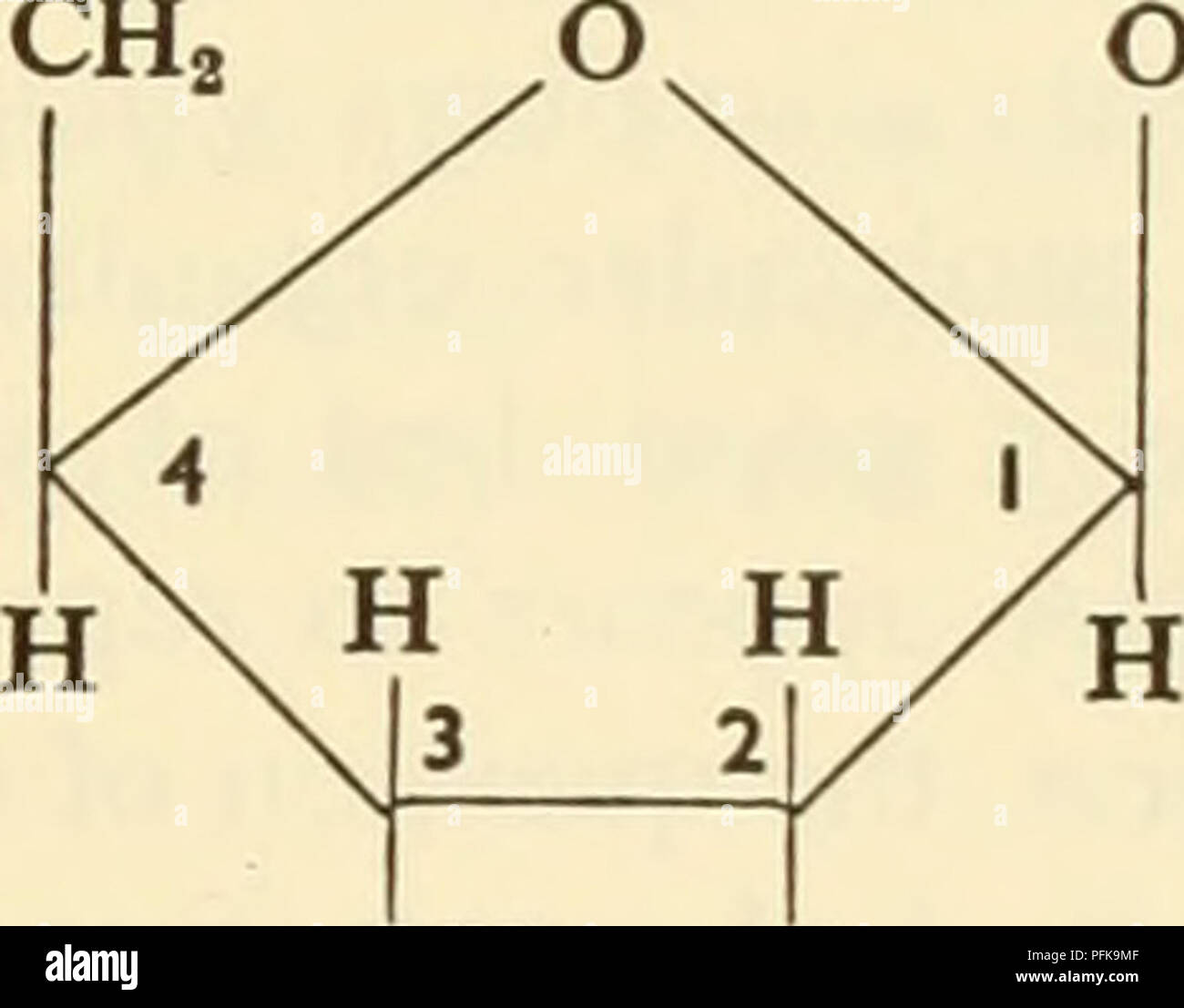 Dna Structure Ribose This text discusses the molecular structure of DNA and RNA, explaining ...