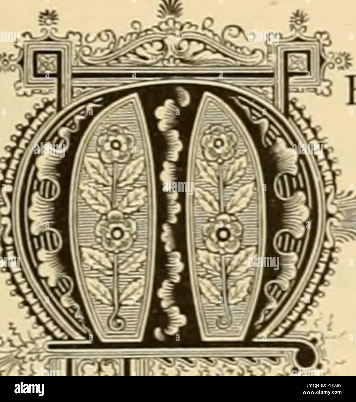 4 stamens in each flower hires stock photography and images Alamy