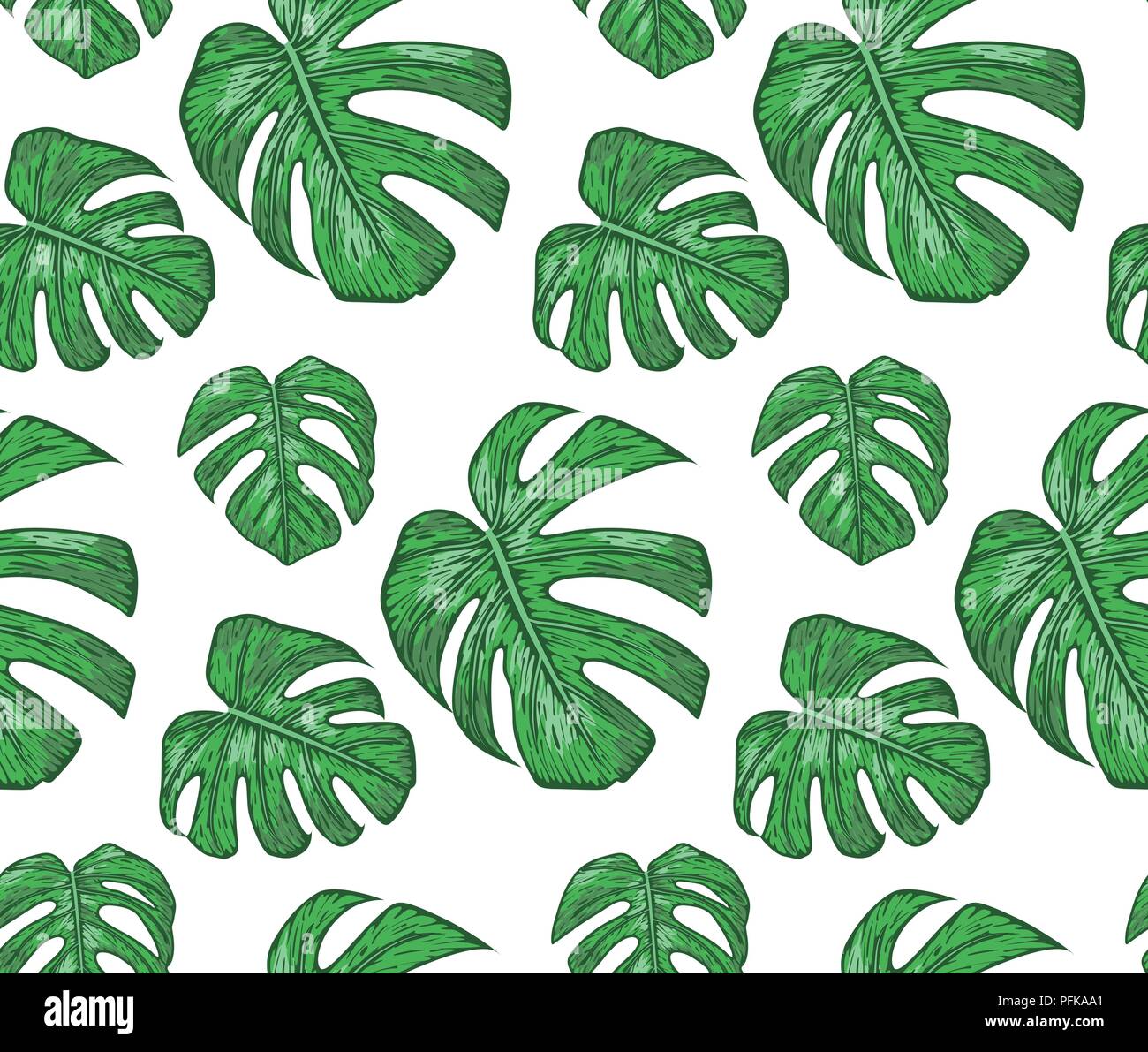 Seamless pattern with philodendron plants, green leaves cute wallpaper.  Vector elegant print isolated on white background. Delicate art template  Stock Vector Image & Art - Alamy