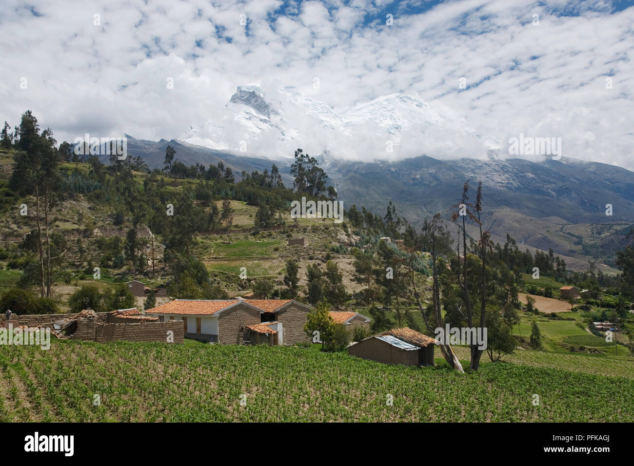 Peru, Ancash, Cordillera Blanca, mud brick houses and fields on hillside, snow-covered mountains behind clouds Stock Photo