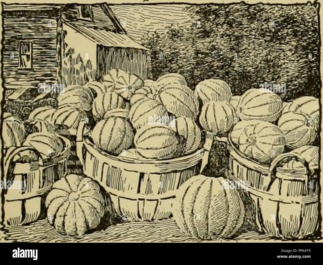 Crop Rotation Clover High Resolution Stock Photography and Images - Alamy