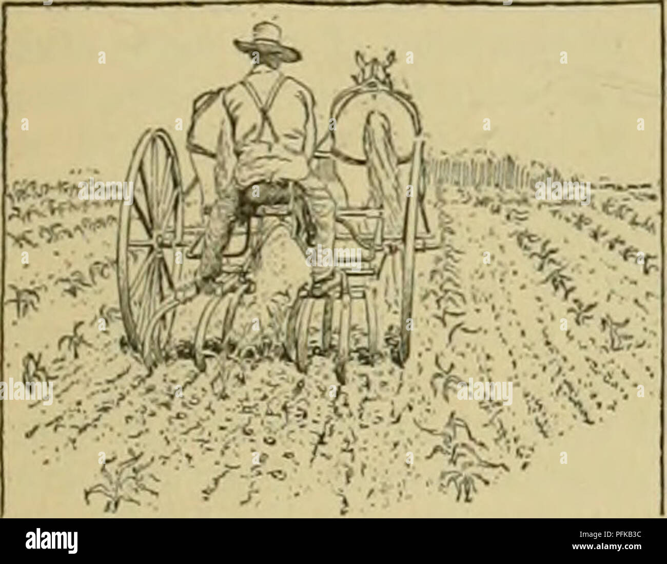 Crop rotation clover hi-res stock photography and images - Alamy