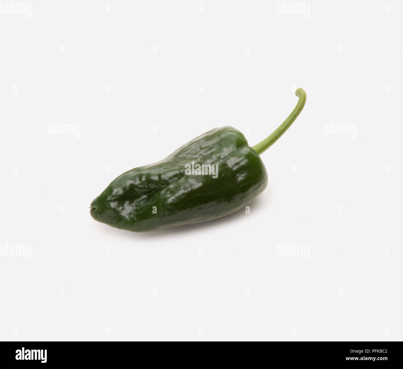 Poblano chilli pepper Stock Photo