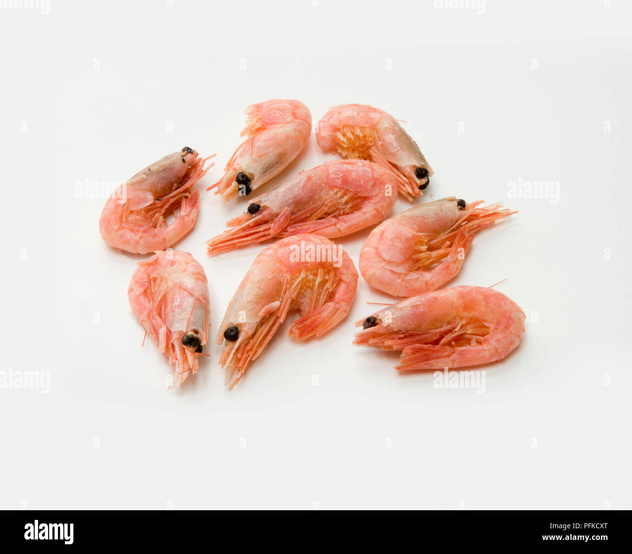 Freshly boiled King Prawns Stock Photo Alamy