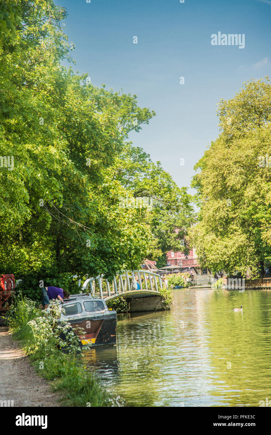 mooring under the trees Oxfordshire Stock Photo Alamy