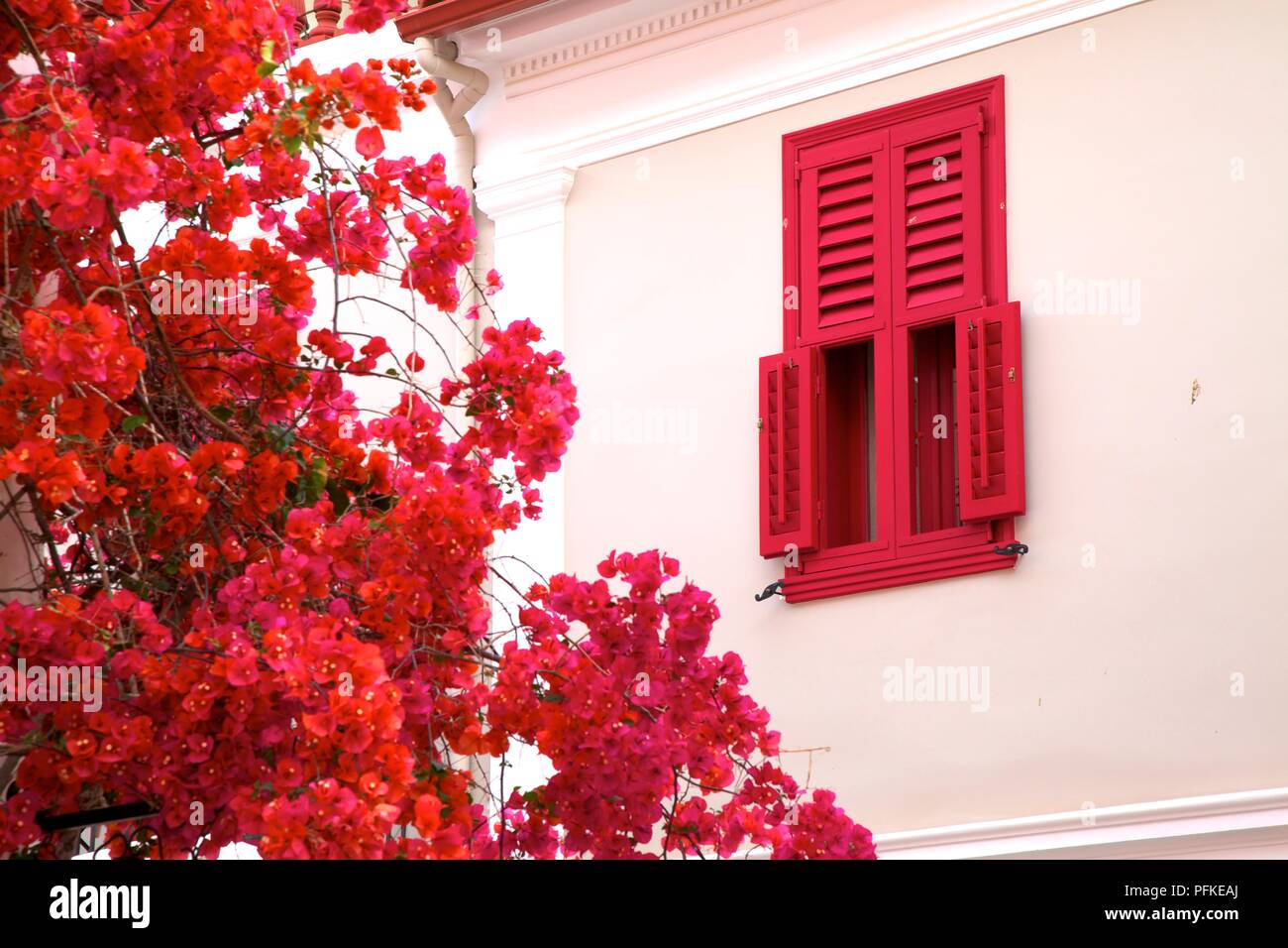 Window Shutters in the Old Town of Nafplio, Argolis, The Peloponnese