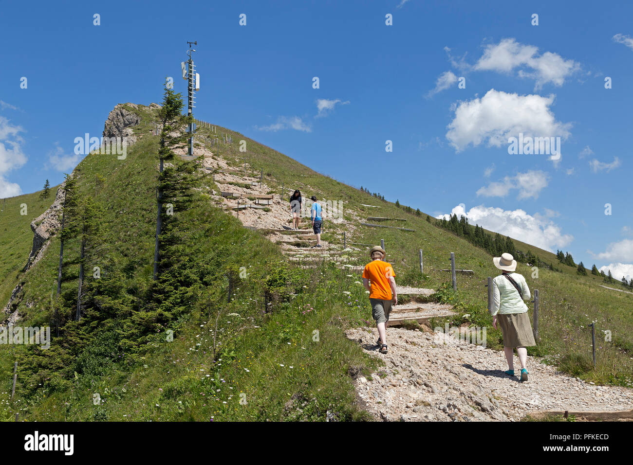 hiking from the mountain station to Hochgrat summit, Steibis, Allgaeu,  Bavaria, Germany Stock Photo - Alamy