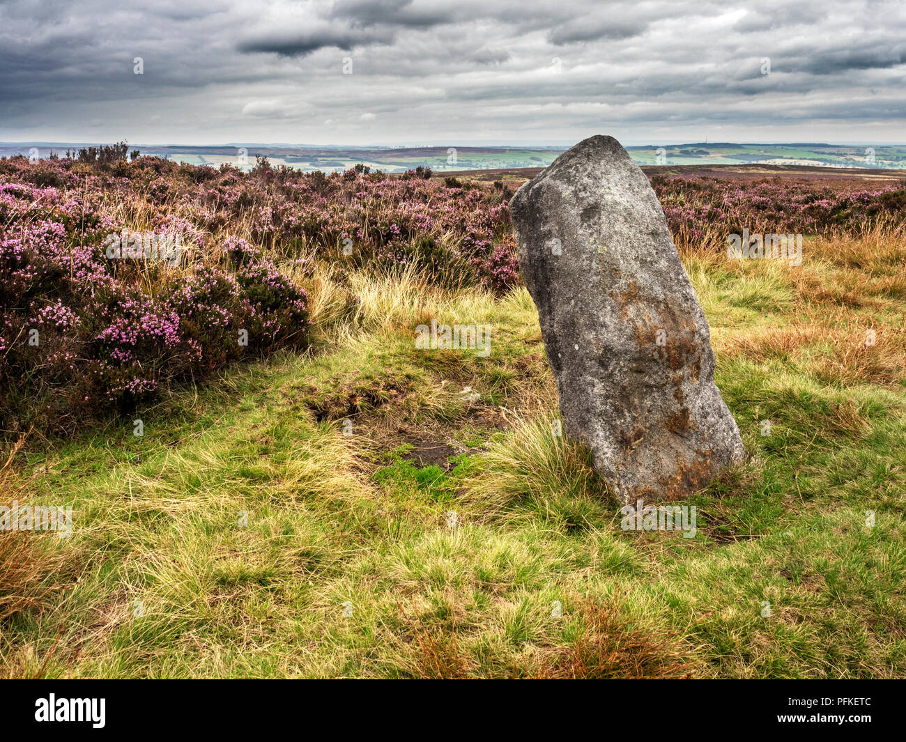 Twelve Apostles stone circle Bronze Age scheduled monument on Burley