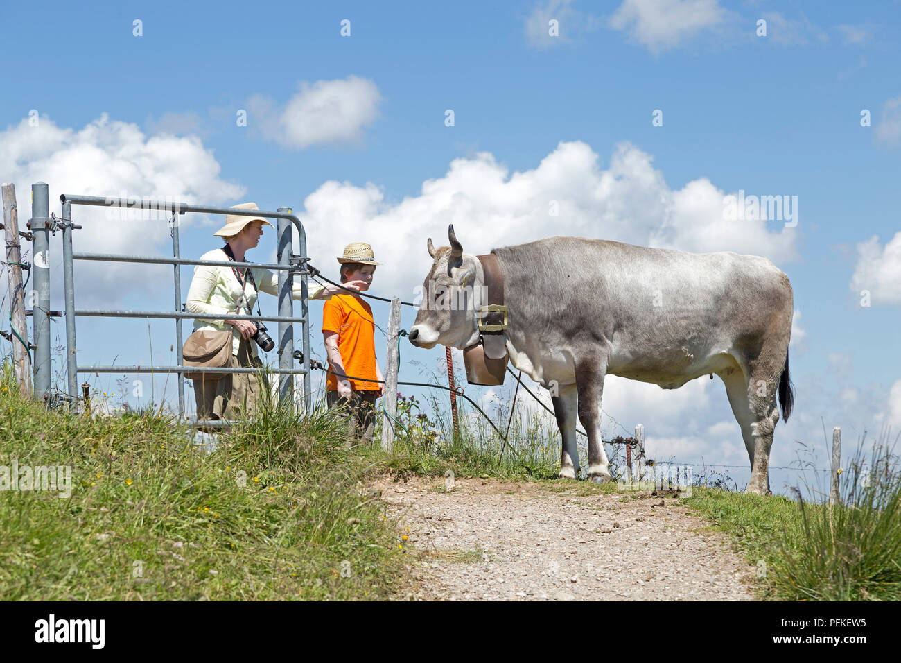 mother and son looking at cow on Hochgrat summit near Steibis, Allgaeu, Bavaria, Germany Stock Photo