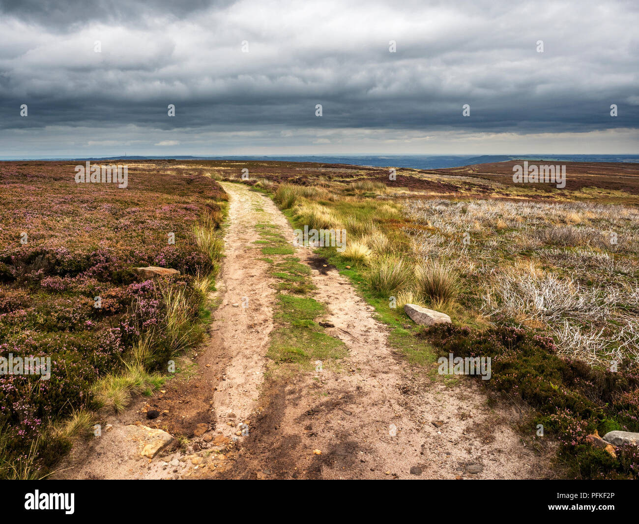 The Millennium Way footpath on Burley Moor West Yorkshire England Stock