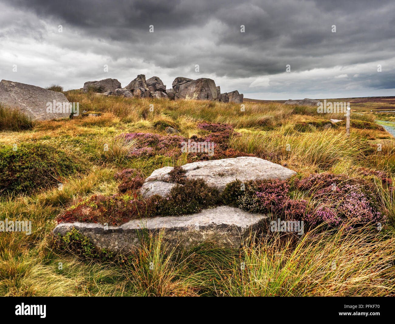 Gritstone boulders amongst the heather on Burley Moor West Yorkshire