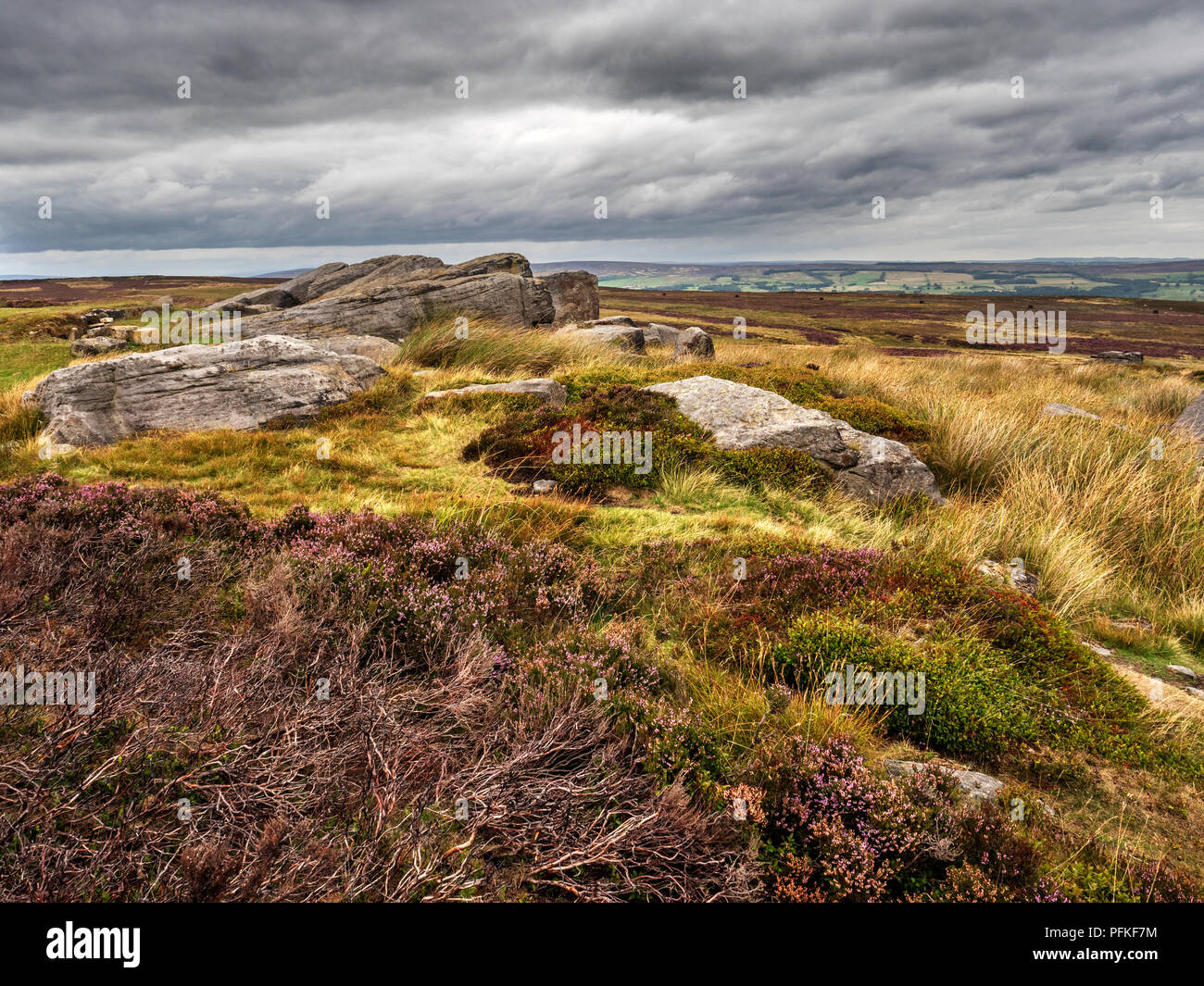 Gritstone boulders amongst the heather on Burley Moor West Yorkshire
