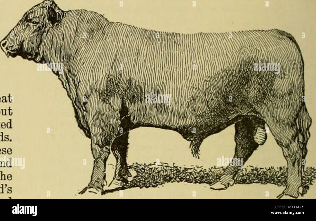 Cyclopedia Of Farm Animals Domestic Animals Animal Products Fig