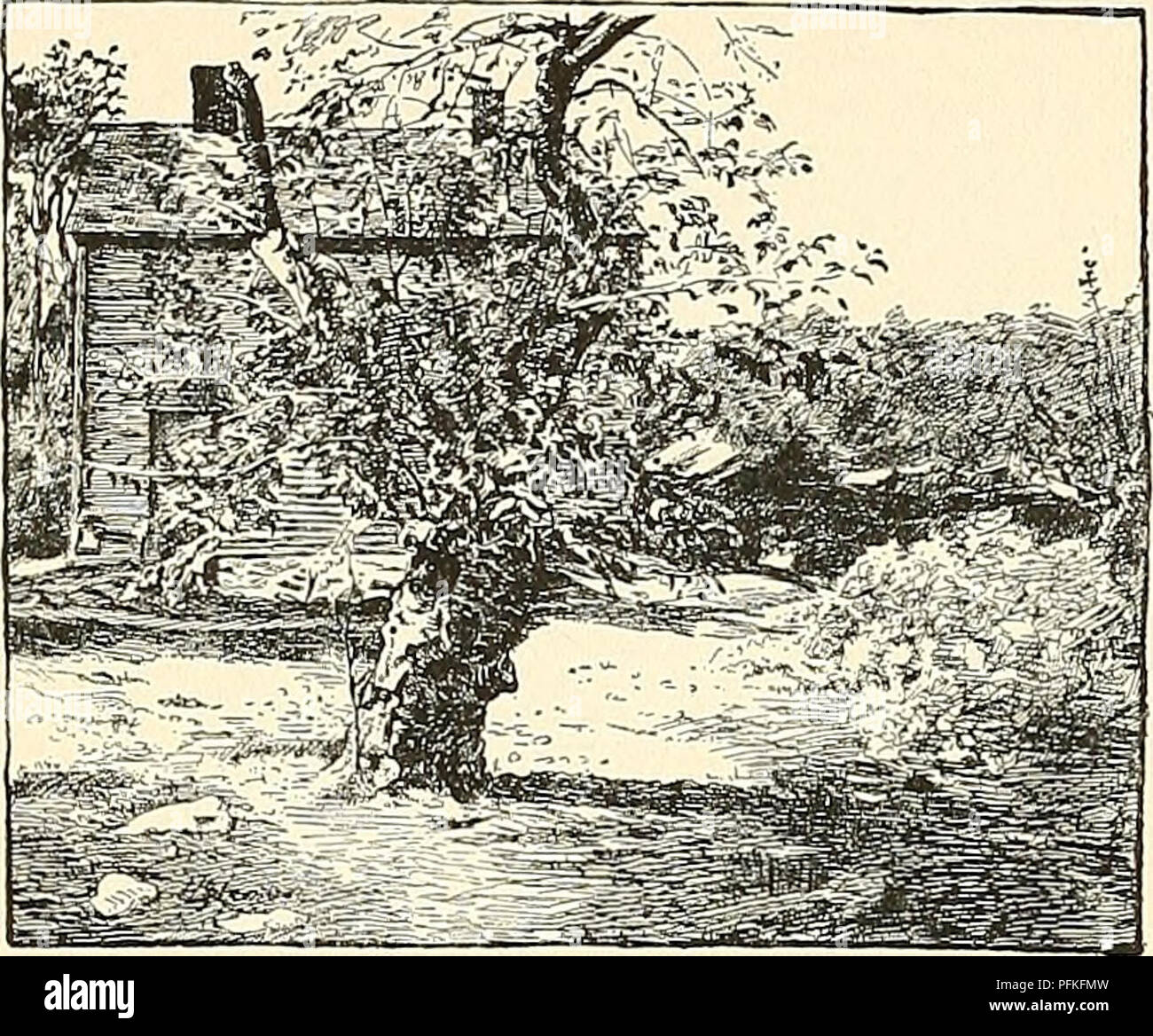 . Cyclopedia of American horticulture, comprising suggestions for cultivation of horticultural plants, descriptions of the species of fruits, vegetables, flowers, and ornamental plants sold in the United States and Canada, together with geographical and biographical sketches. Gardening. 1516 RHODE ISLAND RHODODENDRON. 2103 Original tree of Rhode Island Greening apple as It looked in 1900. Pears are found growing in abundance all over the state, nearly every village lot having a few trees of the more popular varieties. There are several small com- mercial orchards, the principal varieties produ Stock Photo
