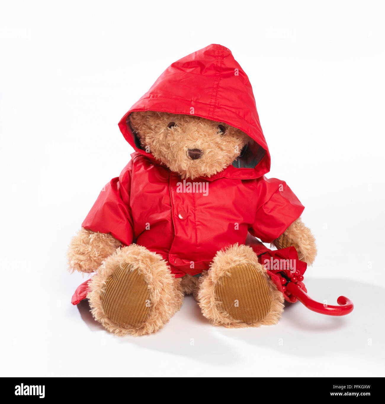 teddy bear in raincoat